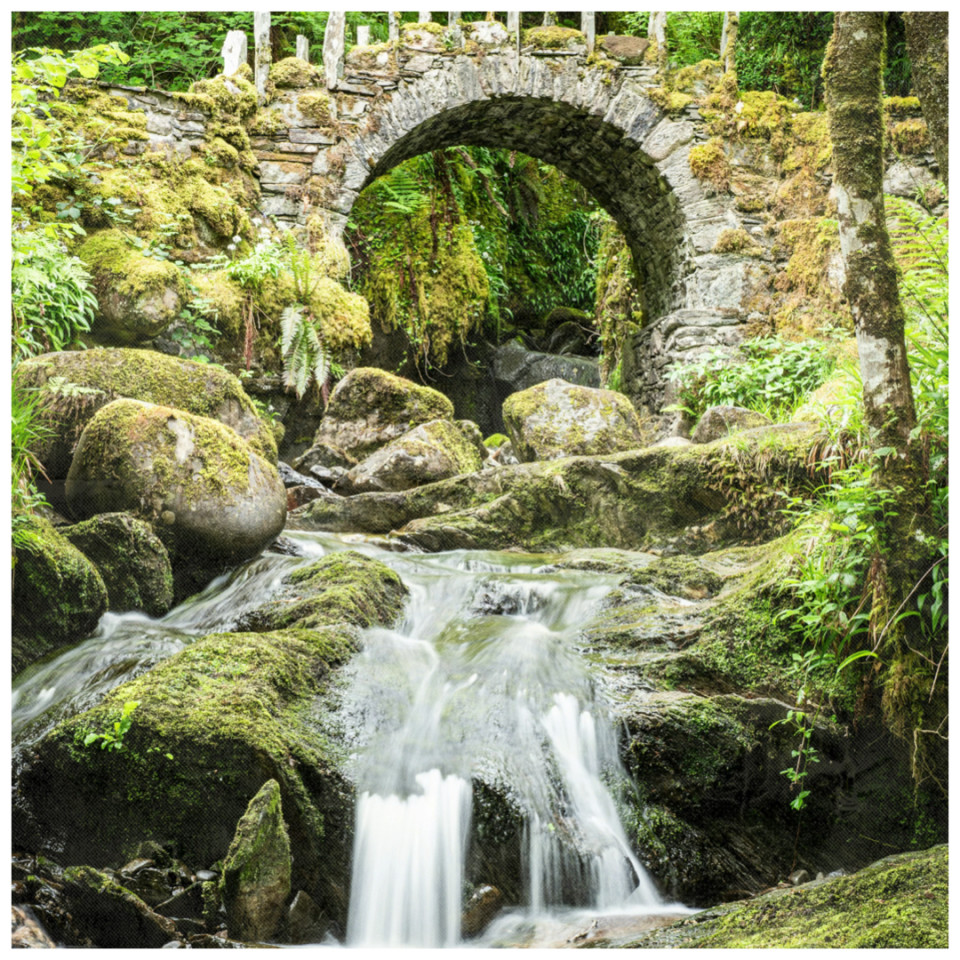 Fairy & Elf Places